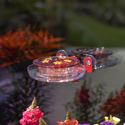 Kingsyard 8oz Plastic Window Hummingbird Feeder with Ant Moat 2 Kingsyard 8oz Plastic Window Hummingbird Feeder with Ant Moat 2