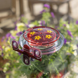 Kingsyard 8oz Plastic Window Hummingbird Feeder with Ant Moat 1 Kingsyard 8oz Plastic Window Hummingbird Feeder with Ant Moat 1