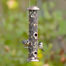 Kingsyard Chew-proof Metal Tube Bird Feeders 1 Kingsyard Chew-proof Metal Tube Bird Feeders 1