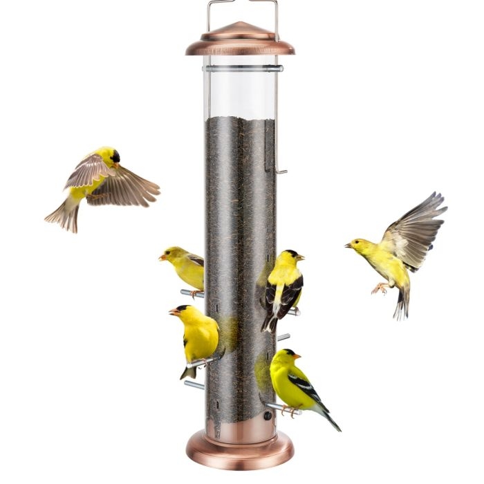 How to Feed Birds Thistle: Ultimate Guide for Happy Garden Birds
