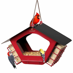 Kingsyard Metal 2 in 1 Mixed Seeds Bird Feeders 2 Kingsyard Metal 2 in 1 Mixed Seeds Bird Feeders 2