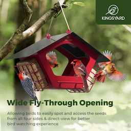 Kingsyard Metal 2 in 1 Mixed Seeds Bird Feeders 6 Kingsyard Metal 2 in 1 Mixed Seeds Bird Feeders 6