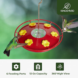 Kingsyard 12oz Tray Hummingbird Feeder With Ant Moat 7 Kingsyard 12oz Tray Hummingbird Feeder With Ant Moat 7