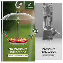 Kingsyard 12oz Tray Hummingbird Feeder with Weatherproof Dome & Ant Moat 8 Kingsyard 12oz Tray Hummingbird Feeder with Weatherproof Dome & Ant Moat 8