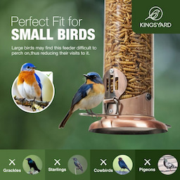 Kingsyard Extra Sturdy Tube Bluebird Mealworm Feeder 6 Kingsyard Extra Sturdy Tube Bluebird Mealworm Feeder 6