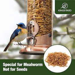 Kingsyard Extra Sturdy Tube Bluebird Mealworm Feeder 7 Kingsyard Extra Sturdy Tube Bluebird Mealworm Feeder 7