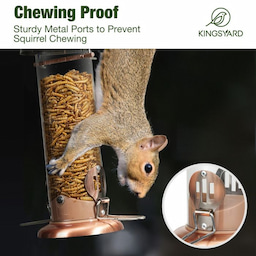 Kingsyard Extra Sturdy Tube Bluebird Mealworm Feeder 8 Kingsyard Extra Sturdy Tube Bluebird Mealworm Feeder 8