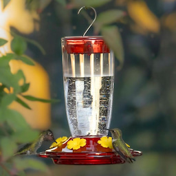 Kingsyard 16oz Plastic Hummingbird Feeder with Bee & Ant Proof 1 Kingsyard 16oz Plastic Hummingbird Feeder with Bee & Ant Proof 1