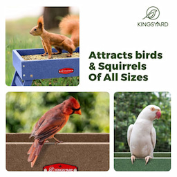 Green Kingsyard Recycled Plastic Ground Feeder For Birds and Chickens 5 Green Kingsyard Recycled Plastic Ground Feeder For Birds and Chickens 5