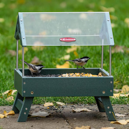 Kingsyard Recycled Plastic Platform Feeder 1 Kingsyard Recycled Plastic Platform Feeder 1