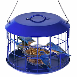 Kingsyard Metal Caged Squirrel Proof Bluebird Feeders 2 Kingsyard Metal Caged Squirrel Proof Bluebird Feeders 2