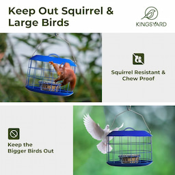 Kingsyard Metal Caged Squirrel Proof Bluebird Feeders 5 Kingsyard Metal Caged Squirrel Proof Bluebird Feeders 5