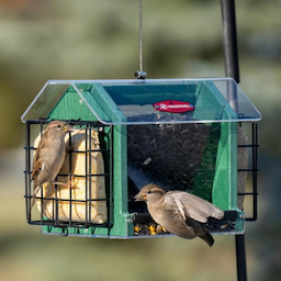 Kingsyard Weatherproof Double Suet Hopper Bird Feeder 1 Kingsyard Weatherproof Double Suet Hopper Bird Feeder 1