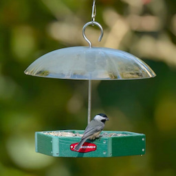 Kingsyard Recycled Plastic Platform Bird Feeder with Adjustable Dome 1 Kingsyard Recycled Plastic Platform Bird Feeder with Adjustable Dome 1