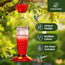 Kingsyard 24oz Glass Hummingbird Feeder with Ant Moat 8 Kingsyard 24oz Glass Hummingbird Feeder with Ant Moat 8