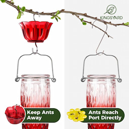 Kingsyard 24oz Glass Hummingbird Feeder with Ant Moat 7 Kingsyard 24oz Glass Hummingbird Feeder with Ant Moat 7