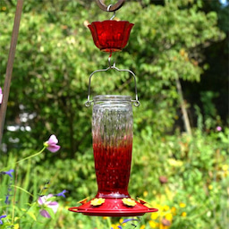 Kingsyard 24oz Glass Hummingbird Feeder with Ant Moat 1 Kingsyard 24oz Glass Hummingbird Feeder with Ant Moat 1