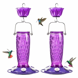 Purple Kingsyard 24oz Glass Hummingbird Feeder with Ant Moat 2 Purple Kingsyard 24oz Glass Hummingbird Feeder with Ant Moat 2