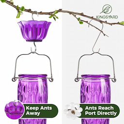 Purple Kingsyard 24oz Glass Hummingbird Feeder with Ant Moat 7 Purple Kingsyard 24oz Glass Hummingbird Feeder with Ant Moat 7