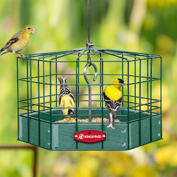 Kingsyard Squirrel-Proof Platform Hanging Bird Feeder 1 Kingsyard Squirrel-Proof Platform Hanging Bird Feeder 1