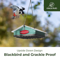 Kingsyard Upside Down Squirrel Proof Suet Feeder 5 Kingsyard Upside Down Squirrel Proof Suet Feeder 5