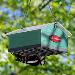 Kingsyard Upside Down Squirrel Proof Double Suet Feeder 1 Kingsyard Upside Down Squirrel Proof Double Suet Feeder 1