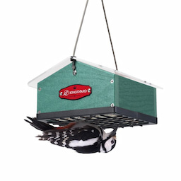 Kingsyard Upside Down Squirrel Proof Double Suet Feeder 2 Kingsyard Upside Down Squirrel Proof Double Suet Feeder 2