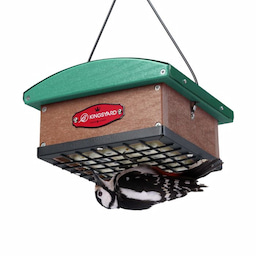 Kingsyard Recycled Plastic Upside Down Double Suet Feeder 2 Kingsyard Recycled Plastic Upside Down Double Suet Feeder 2