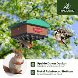 Kingsyard Recycled Plastic Upside Down Double Suet Feeder 7 Kingsyard Recycled Plastic Upside Down Double Suet Feeder 7