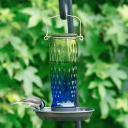 Kingsyard 24oz Large Capacity Glass Bird Water Feeder 1 Kingsyard 24oz Large Capacity Glass Bird Water Feeder 1