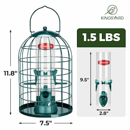 Kingsyard Caged Squirrel Proof Tube Feeder with Rainproof Design 3 Kingsyard Caged Squirrel Proof Tube Feeder with Rainproof Design 3
