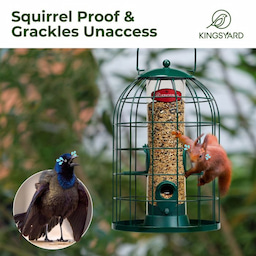 Kingsyard Caged Squirrel Proof Tube Feeder with Rainproof Design 6 Kingsyard Caged Squirrel Proof Tube Feeder with Rainproof Design 6