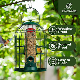 Kingsyard Caged Squirrel Proof Tube Feeder with Rainproof Design 7 Kingsyard Caged Squirrel Proof Tube Feeder with Rainproof Design 7