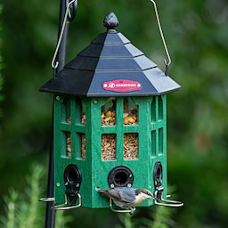 Kingsyard Wild Bird Feeder for Outside Hanging 1 Kingsyard Wild Bird Feeder for Outside Hanging 1