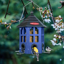 Blue Kingsyard Wild Bird Feeder for Outside Hanging 1 Blue Kingsyard Wild Bird Feeder for Outside Hanging 1