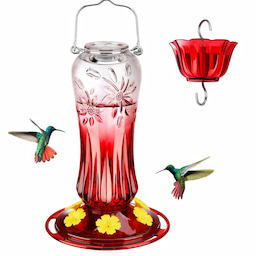 Kingsyard 24oz Glass Hummingbird Feeder with Ant Moat 2 Kingsyard 24oz Glass Hummingbird Feeder with Ant Moat 2