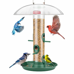 Dark Green Kingsyard Weatherproof Metal Tube Feeder with Dome 2 Dark Green Kingsyard Weatherproof Metal Tube Feeder with Dome 2