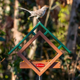 Kingsyard Adjustable Platform Metal Mesh Tray Bird Feeder 1 Kingsyard Adjustable Platform Metal Mesh Tray Bird Feeder 1