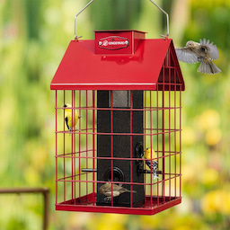 Kingsyard Weatherproof Caged Squirrel Proof Bird Feeder 1 Kingsyard Weatherproof Caged Squirrel Proof Bird Feeder 1