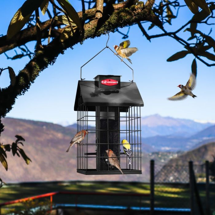 s For Small Birds Kingsyard Wild Metal Birdhouse Hanging Seed