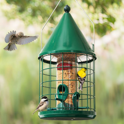 Kingsyard Caged Squirrel Proof Tube Bird Feeder with Rainproof Dome 1 Kingsyard Caged Squirrel Proof Tube Bird Feeder with Rainproof Dome 1