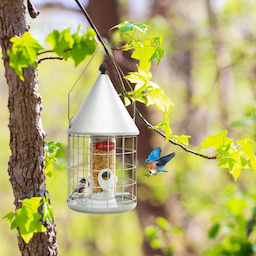 Silver Kingsyard Caged Squirrel Proof Tube Bird Feeder with Rainproof Dome 6 Silver Kingsyard Caged Squirrel Proof Tube Bird Feeder with Rainproof Dome 6