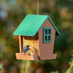 Green Kingsyard Recycled Plastic Hopper Bird Feeder with Weatherproof Roof 1 Green Kingsyard Recycled Plastic Hopper Bird Feeder with Weatherproof Roof 1