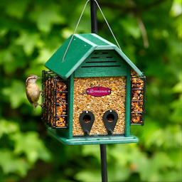 Kingsyard 3 in 1 Double Suet Metal Mesh Wild Bird Feeder 1 Kingsyard 3 in 1 Double Suet Metal Mesh Wild Bird Feeder 1