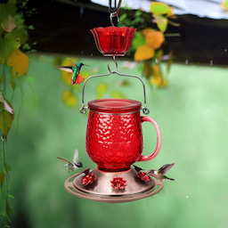 Kingsyard 16oz Bee & Ant Proof Glass Hummingbird Feeders 1 Kingsyard 16oz Bee & Ant Proof Glass Hummingbird Feeders 1