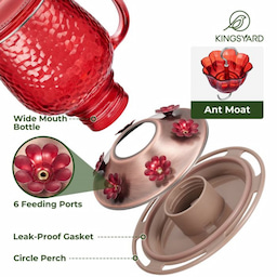 Kingsyard 16oz Bee & Ant Proof Glass Hummingbird Feeders 3 Kingsyard 16oz Bee & Ant Proof Glass Hummingbird Feeders 3