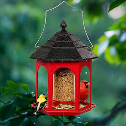 Kingsyard Large Capacity Gazebo Wild Bird Feeder 1 Kingsyard Large Capacity Gazebo Wild Bird Feeder 1