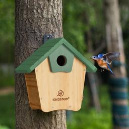 How Big Does a Bird House Hole Have to Be: Perfect Size Tips