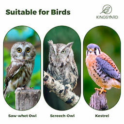Kingsyard Weatherproof Owl House Outdoor Nesting Box 12 Kingsyard Weatherproof Owl House Outdoor Nesting Box 12