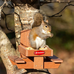 Kingsyard Recycled Plastic Squirrel Feeder Table 1 Kingsyard Recycled Plastic Squirrel Feeder Table 1